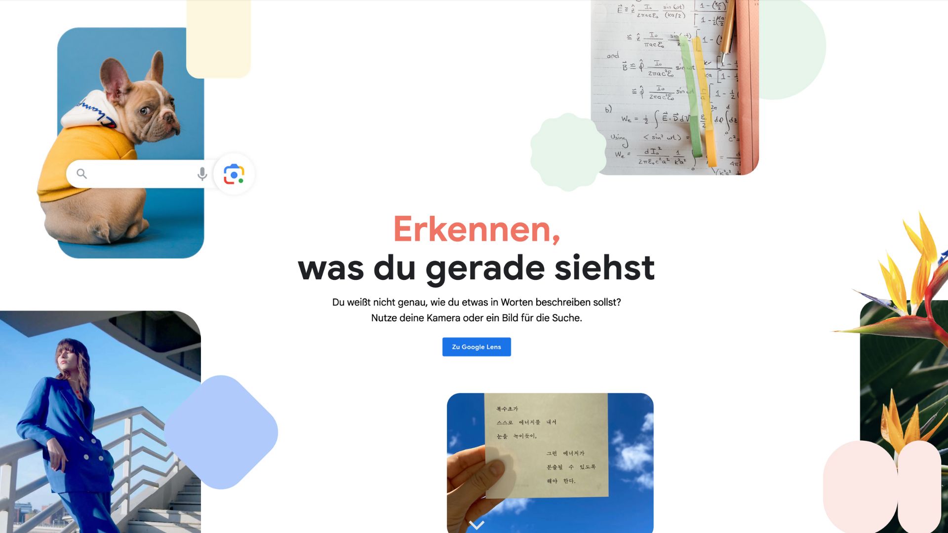 Wie kann ich mit KI ein Bild suchen? Wie kann ich mit KI ein Bild suchen?